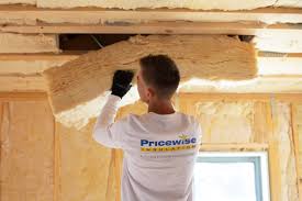 Best Fireproof Insulation  in Savoy, IL